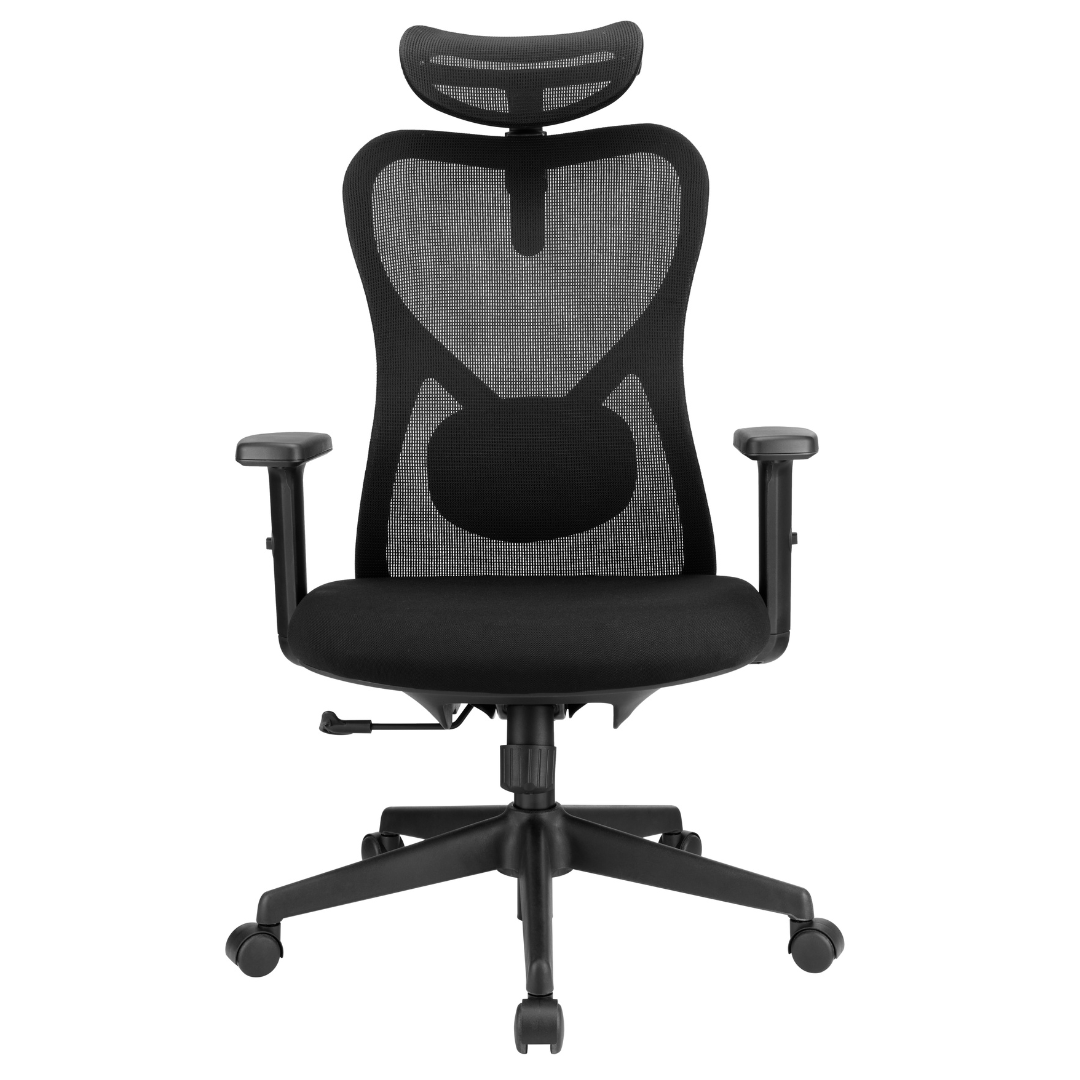 Elite Ergonomic Mesh Chair