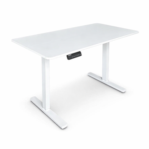 1.2 Metre Single Motor Sit Stand Desk - White