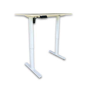 1.2 Metre Single Motor Sit Stand Desk - Maple/White