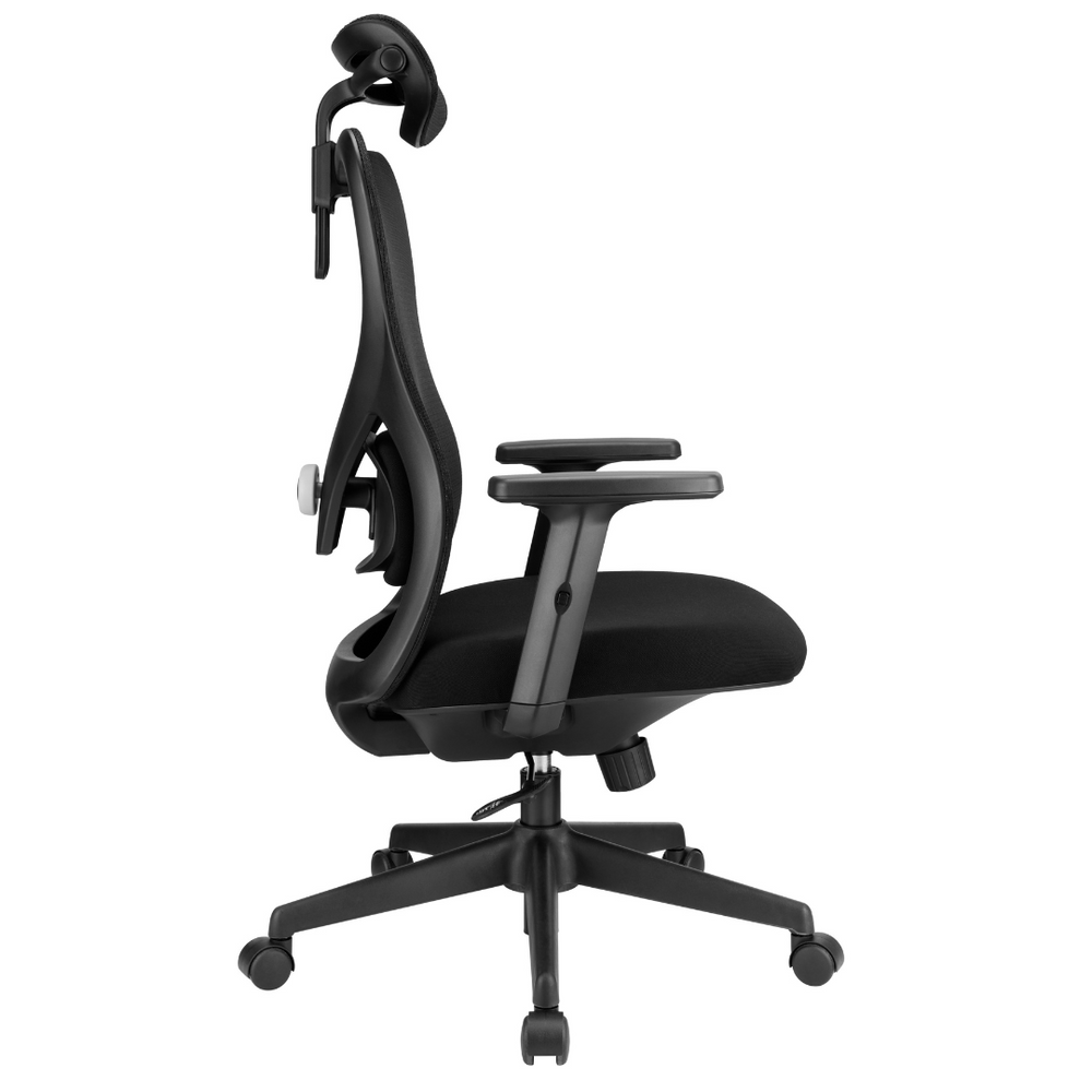 Elite Ergonomic Mesh Chair