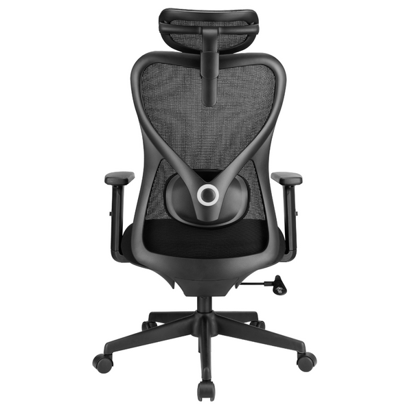 Elite Ergonomic Mesh Chair