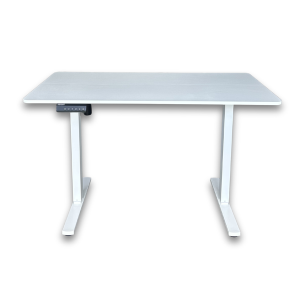 1.2 Metre Single Motor Sit Stand Desk - White